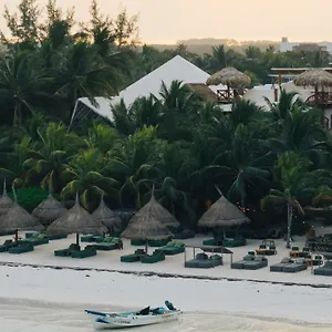 Casa Tortugas Petit Hotel&spa Hotel